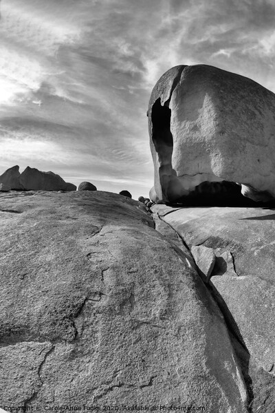 Remarkable Rocks Picture Board by Carole-Anne Fooks