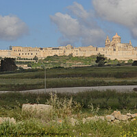 Buy canvas prints of Mdina, Malta by Carole-Anne Fooks