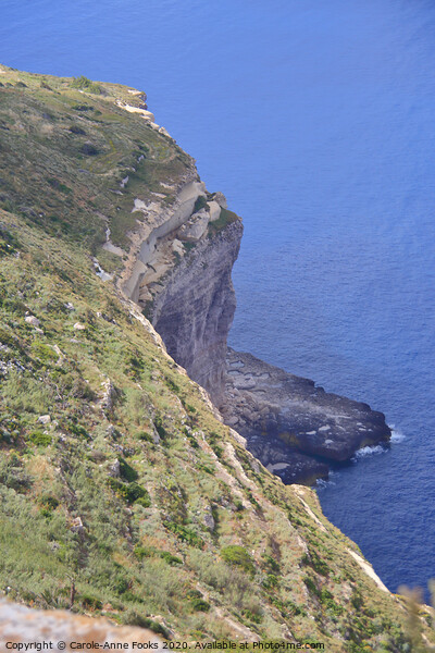 Dingli Cliffs, Malta. Picture Board by Carole-Anne Fooks