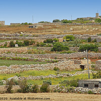 Buy canvas prints of Agricultural Terraces, Malta. by Carole-Anne Fooks