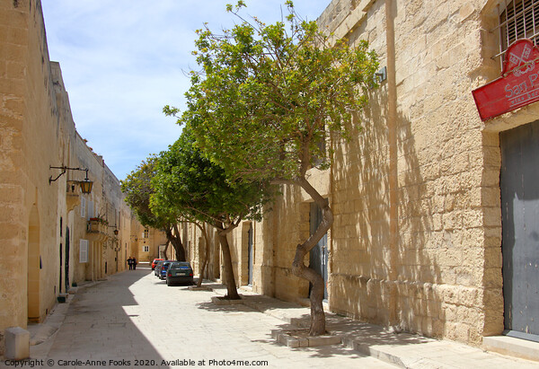 Narrow Street in Mdina, Rabat, Malta.  Picture Board by Carole-Anne Fooks