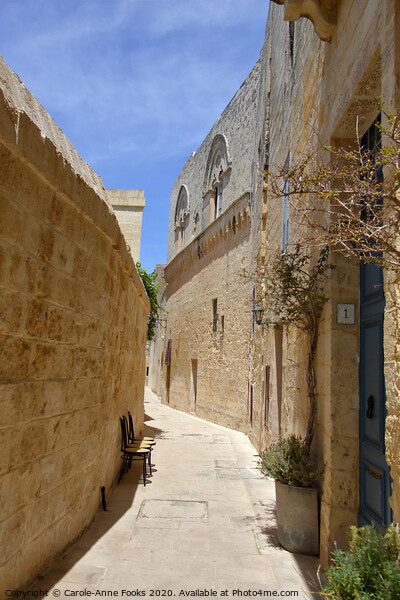 Narrow Street in Mdina, Rabat, Malta. Picture Board by Carole-Anne Fooks