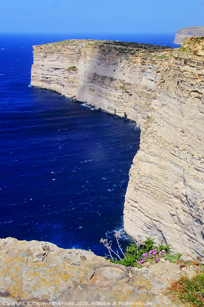 Sannap cliffs Gozo, Malta Picture Board by Carole-Anne Fooks