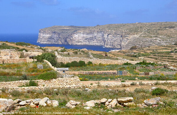 Cliffs, Gozo Malta Picture Board by Carole-Anne Fooks