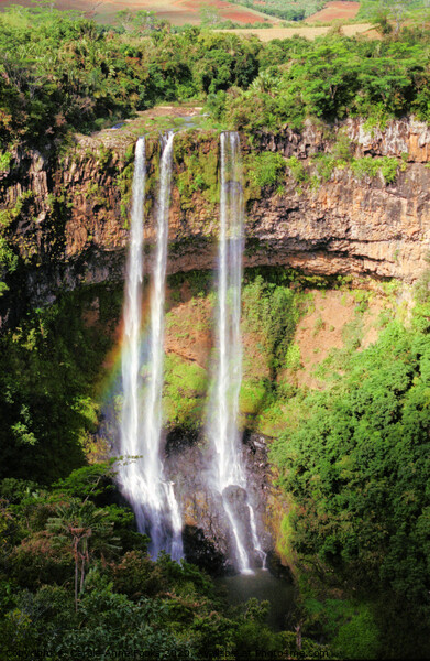 Chamarel Waterfall, Mauritius Picture Board by Carole-Anne Fooks