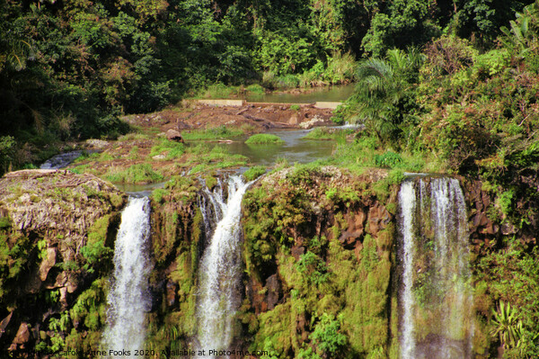 Chamarel Waterfall, Mauritius Picture Board by Carole-Anne Fooks