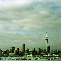 Buy canvas prints of Auckland, New Zealand by Carole-Anne Fooks