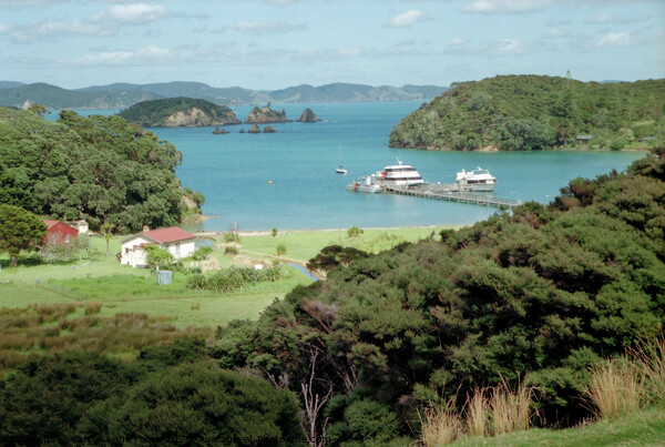 Bay of Islands, New Zealand Picture Board by Carole-Anne Fooks
