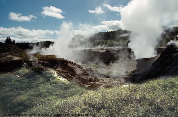 Craters of the Moon, New Zealand Picture Board by Carole-Anne Fooks