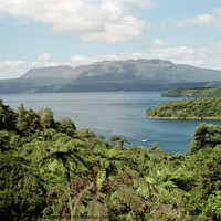 Buy canvas prints of Lake and Mount Tarawera, New Zealand by Carole-Anne Fooks