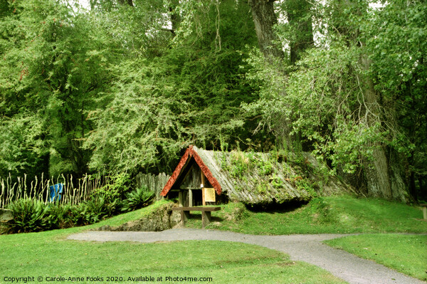 Mount Tarawera Buried Village, New Zealand Picture Board by Carole-Anne Fooks