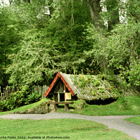 Buy canvas prints of Mount Tarawera Buried Village, New Zealand by Carole-Anne Fooks