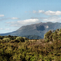 Buy canvas prints of Mt, Tarawera New Zealand by Carole-Anne Fooks
