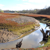 Buy canvas prints of Water Shortage impacted Darwell Reservoir by Robert Dudman