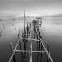 Buy canvas prints of Sticks and Posts by Dave Wragg