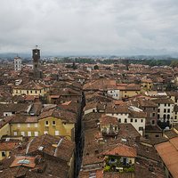 Buy canvas prints of  Lucca by Dave Wragg