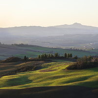 Buy canvas prints of  Toscana by Dave Wragg