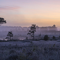 Buy canvas prints of Morning mist by Dave Wragg