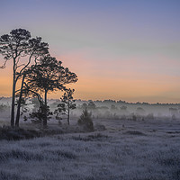 Buy canvas prints of Frosty dawn by Dave Wragg