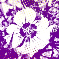 Buy canvas prints of Pop art flower by Carrie-Anne Young
