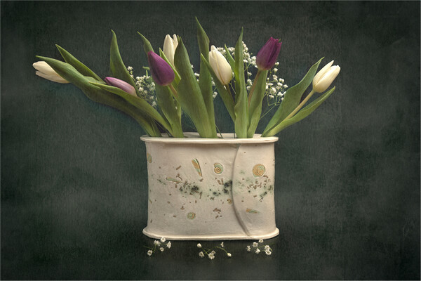 Tulips still life Picture Board by Pam Sargeant