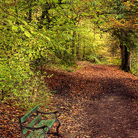 Buy canvas prints of Autumn Bench by Pam Sargeant