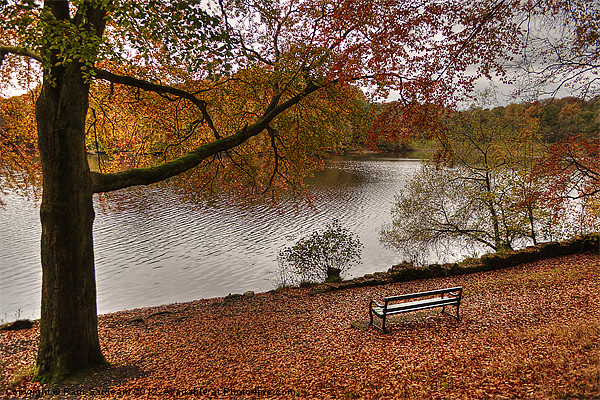 Knypersley Autumn View Picture Board by Pam Sargeant