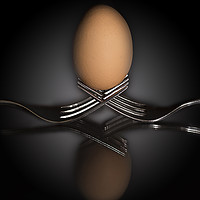 Buy canvas prints of Balance - Egg on Forks by Pam Sargeant