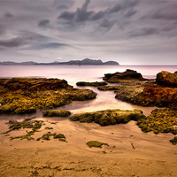 Buy canvas prints of The Beach by Andrew Holland