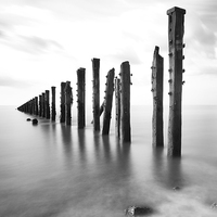 Buy canvas prints of Wood and Water by Andrew Holland