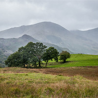 Buy canvas prints of Rain is coming near Elterwater by Michelle PREVOT