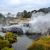Buy canvas prints of Rotorua Geothermal   New-Zealand by Michelle PREVOT