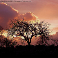 Buy canvas prints of Devon Sunset by Bristol Canvas by Matt Sibtho