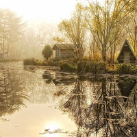 Buy canvas prints of Silence is golden by Gabor Dvornik