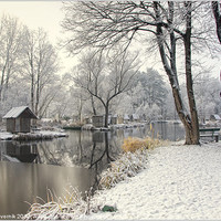 Buy canvas prints of Winter silence by Gabor Dvornik