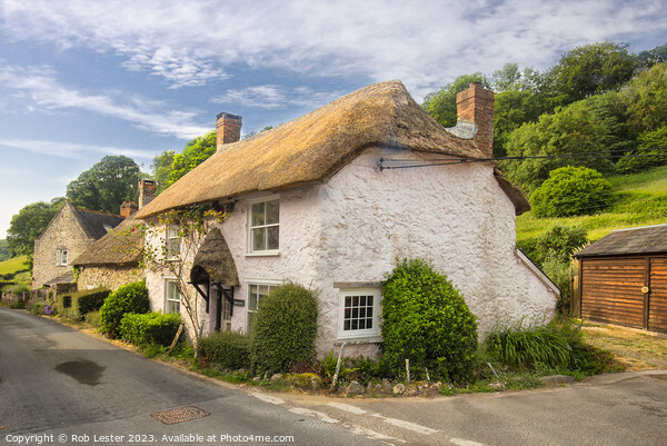 Charming Thatched Cottage in Rural Branscombe Picture Board by Rob Lester