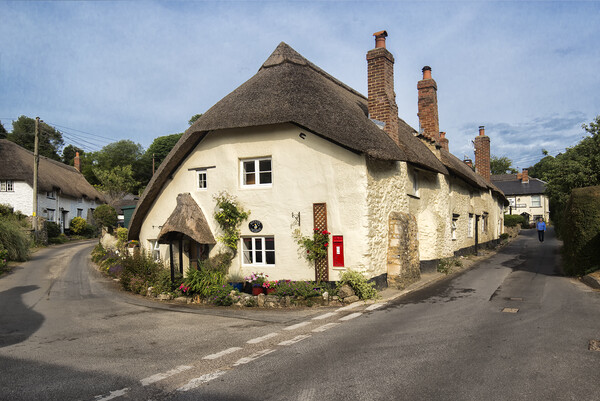 Tranquil Thatched Cottage in Branscombe Picture Board by Rob Lester
