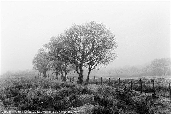 Season of mists (mono) Picture Board by Rob Lester