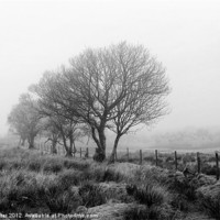 Buy canvas prints of Season of mists (mono) by Rob Lester