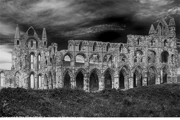 Whitby Abbey, Yorkshire. Picture Board by Rob Lester