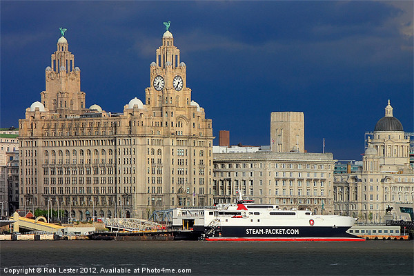 The liver  building, Liverpool Picture Board by Rob Lester