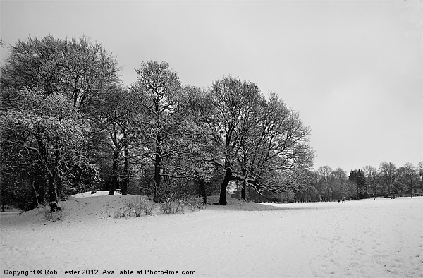 Winter treeline Picture Board by Rob Lester