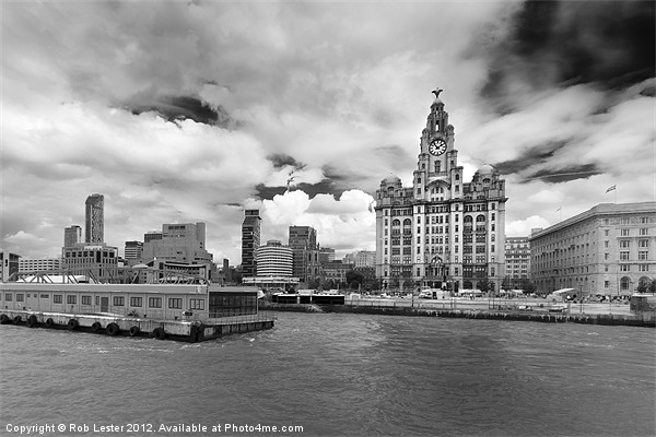 The Royal Liver Building,Liverpool Picture Board by Rob Lester