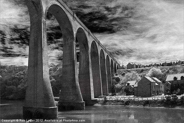 Larpool Viaduct, River Esk. Picture Board by Rob Lester