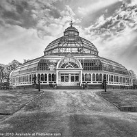 Buy canvas prints of Palm house, Sefton Park by Rob Lester