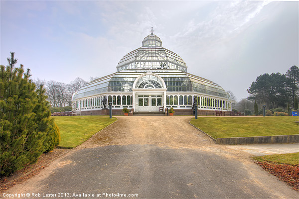 Sefton Park, Palm house Picture Board by Rob Lester