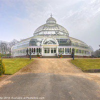 Buy canvas prints of Sefton Park, Palm house by Rob Lester