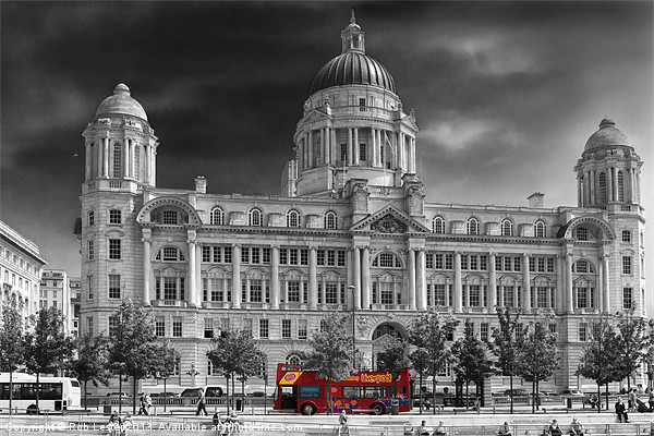 Port of Liverpool building Picture Board by Rob Lester