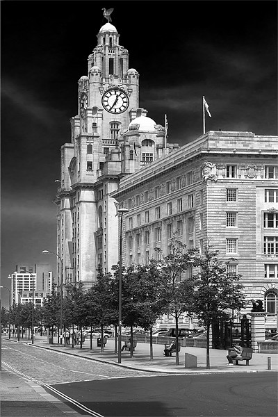 Royal Liver Building Picture Board by Rob Lester