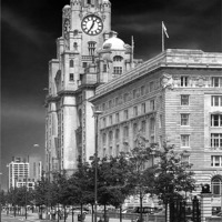 Buy canvas prints of Royal Liver Building by Rob Lester